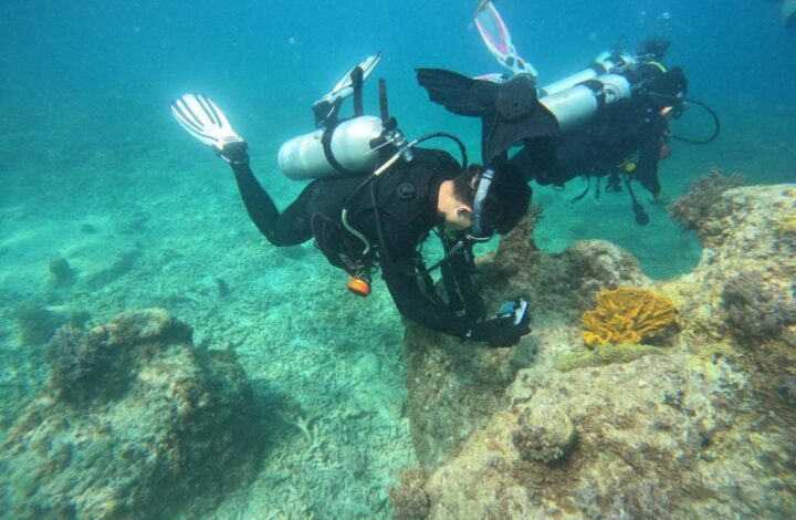 3Day 2Night Scuba Diving Package